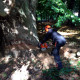 abattage-arbre-dieppe-2.jpg