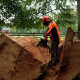 abattage-arbre-dieppe.jpg