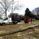 broyage-bois-rouen.jpg