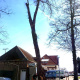 diagnostic-maladie-arbre.jpg