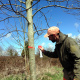 diagnostics-arboricoles-normandie.jpg