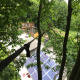 haubanage-arbre-normandie.jpg