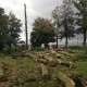 abatage-arbre-hericourt-en-caux-0002.jpg