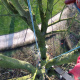 demontage-arbre-dieppe-0003.jpg