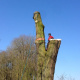 demontage-arbre-dieppe-0006.jpg