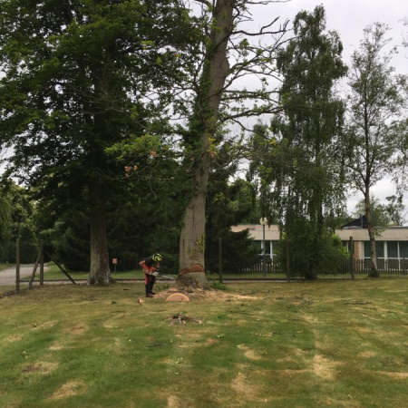 Abattages-d-urgence-d-arbres-dangereux-01.jpg
