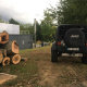 Abattages-d-urgence-d-arbres-dangereux-02.jpg
