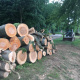 Abattages-d-urgence-d-arbres-dangereux-04.jpg