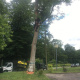 Abattages-d-urgence-d-arbres-dangereux-06.jpg