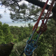 elagage-arbre-varengeville-sur-mer-01.jpg