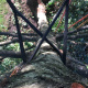 haubanage-arbre-07.jpg