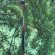 haubanage-arbre-08.jpg