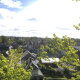 Tailles-et-soins-aux-arbres-a-Luneray-03.jpg