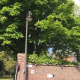 Tailles-et-soins-aux-arbres-a-Luneray-05.jpg