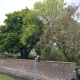 Tailles-et-soins-aux-arbres-a-Luneray-06.jpg