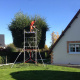 taille-architecturee-01.jpg