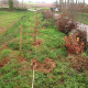 travaux-forrestiers-seine-maritime.jpg